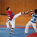 강진태권도체육관 이미지