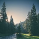 석바위한의원 이미지