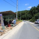 감애구송로(와룡면) 이미지