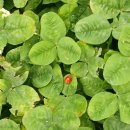 제주너른스테이 이미지