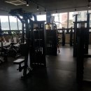 빌드머슬짐 이미지