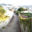 노화중앙초등학교 이미지