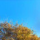 키즈키득펜션 이미지