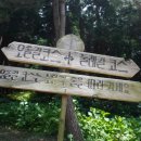 소나무 흑염소 목장 이미지