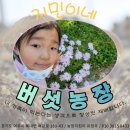 지민이네 농장 이미지