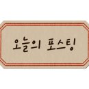 비노그비노 네이버블로그