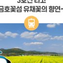 지상철 공단역 네이버블로그
