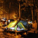 경주숲 1,2 이미지