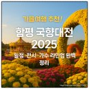 함평군립미술관 | 가을여행 추천! 함평 국향대전 2025 일정·전시·가수 라인업 완벽 정리