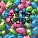 노엘구제