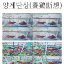 양계단상(養鷄斷想)＜和翁＞ 이미지