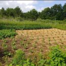 북동경로당 이미지