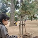 (주)다우린 | 오사카, 교토여행 3일차 - 나라 사슴공원, 헵파이브 관람차, 난바 몬자야키 맛집