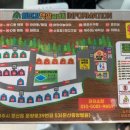 임진강 햇살 글램핑 이미지