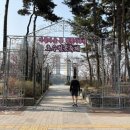 석촌공원길 이미지