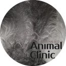 관저종합동물병원 이미지