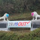 완도전통시장 이미지