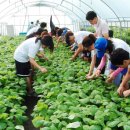 비단강숲마을(영) 이미지