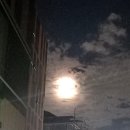 배민커넥트 도보 2일 후기(2) - 느낀 점, 수입