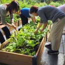 수원시농업기술센터 | #수원시농업기술센터, #2026치유농업활성화지원사업 운영단체 모집