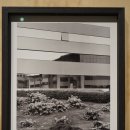 가우리 GAURI 이미지