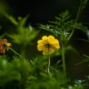 국민권익 해밀 행정사 사무소 이미지