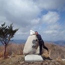 향죽지 Daum카페