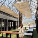 신샘밭로2 | 춘천 현지인 맛집 닭갈비 화계 닭갈비 추천 / 야장 감성에서 먹는 숯불 닭갈비 점심 후기