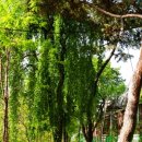 삼풍가든 이미지