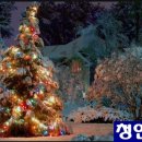 궁전아파트앞 이미지