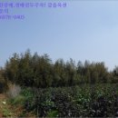 광암보건진료소 이미지