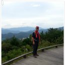 장산억새밭 이미지