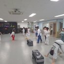 아이베스트 태권도 이미지