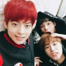 빨강머리 이미지