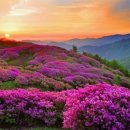 천상버스정류장 이미지