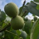 김천한솔펜션 이미지