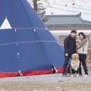 소백산자락길캠핑장 네이버블로그