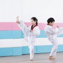 자란다태권도