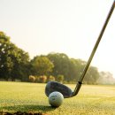 필드로실내골프연습장 이미지