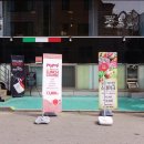 뻬뽈리(peppoli) 이미지