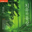 클라라하우스