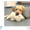 아이조아 요양보호소 경기광주 이미지