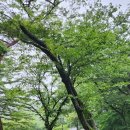 해남여행 1박2일 시티투어 이미지
