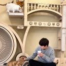 굽네치킨(이문2호점) | 외대 고양이카페 귀요미들이 가득한 고롱