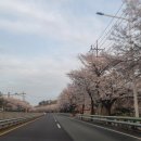 부곡면사무소 | 창녕 부곡 카페 아타탁(ATATAK) 커피 후기