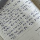 김포 | 강아지 장례식장 :: 펫포레스트 김포점 절차, 비용, 후기