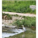 오렌지성형외과의원 이미지