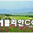 에콜리안정선 컨트리클럽