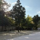 오피스올(Office-All) | 25AW 가을 셔츠 추천 | 어나더 오피스 우먼 오버사이즈 가먼트 셔츠 수미 컬러 착용 및 제품 후기