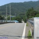 남천1-205 이미지